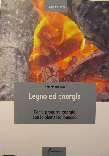 copertina libro - Legno ed energia - di Antonio Brunori
